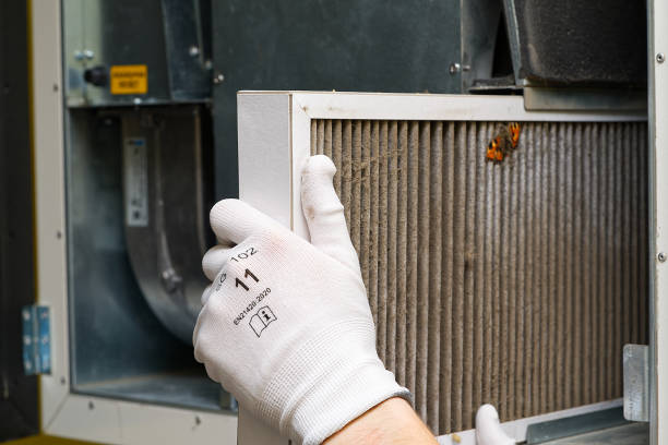Best Affordable HVAC Duct Cleaning  in Tea, SD